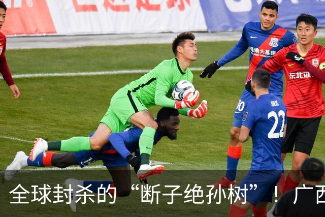 全球封杀的“断子绝孙树”！广西却持续栽种，4550亩地全仰赖于此