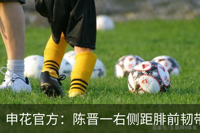 申花官方：陈晋一右侧距腓前韧带部分断裂，预计恢复期4-6周